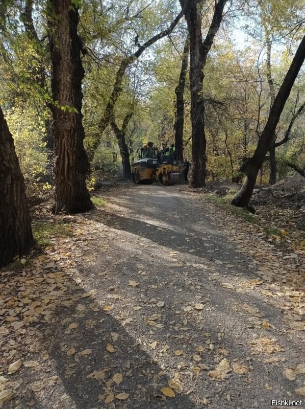 Вот так реальнее.
За рощу Баума наконец то взялись. Делают дороги, проводят освещение
