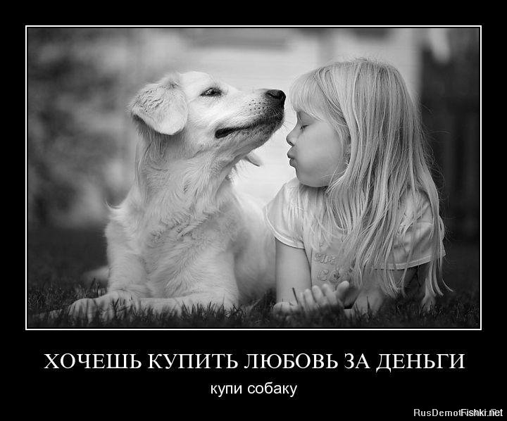 Пёс не хочет отпускать хозяина на работу