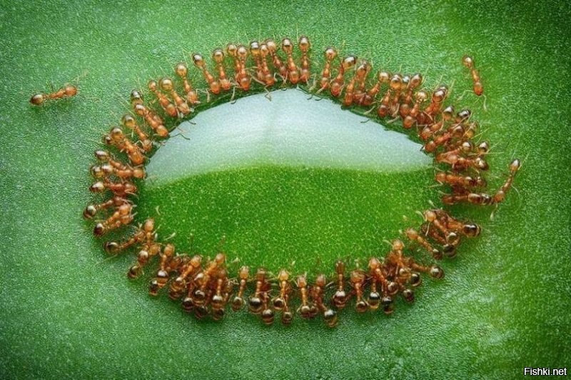 Но что-то пролилось.