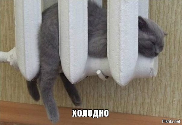 Демотиваторы для всех: «Желаю вам много тепла!»