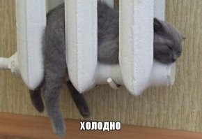 Демотиваторы для всех: «Желаю вам много тепла!»