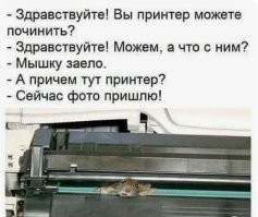 Подборка нетривиальных провалов, участники которых могут признать себя чемпионами неудачи
