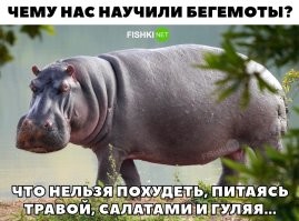 Большая тарелка улыбатора
