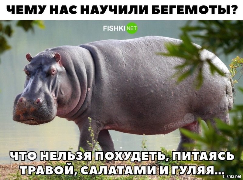 Большая тарелка улыбатора