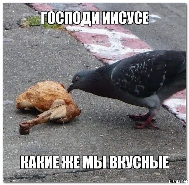 Большая тарелка улыбатора