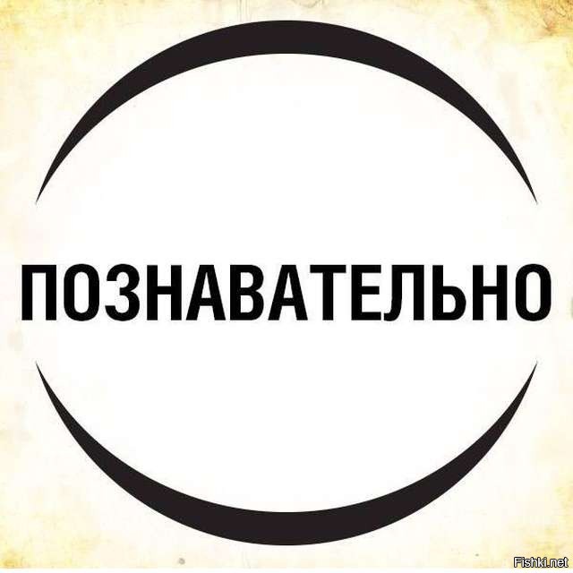 Подробное описание развития внутри яйца: интереснейший процесс, который мало кто знает