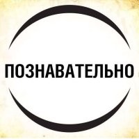 Подробное описание развития внутри яйца: интереснейший процесс, который мало кто знает