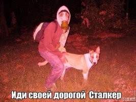 В Чернобыльской зоне заметили собак с синей шерстью