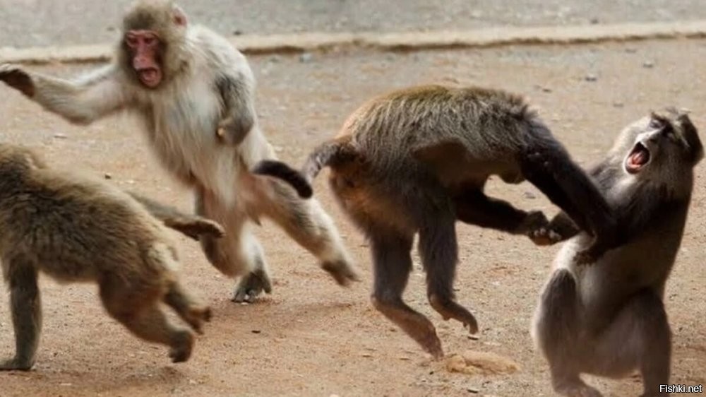 ничего нового...