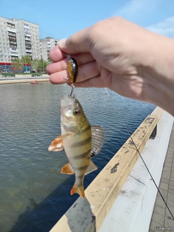 Ху - хороший улов