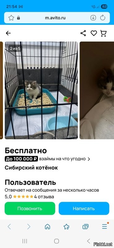 И на Авито нашел объявление.