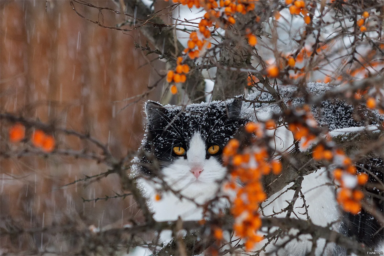 Доброе утро