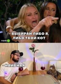 Дальнобойщик развелся с женой из-за пропавшего кота