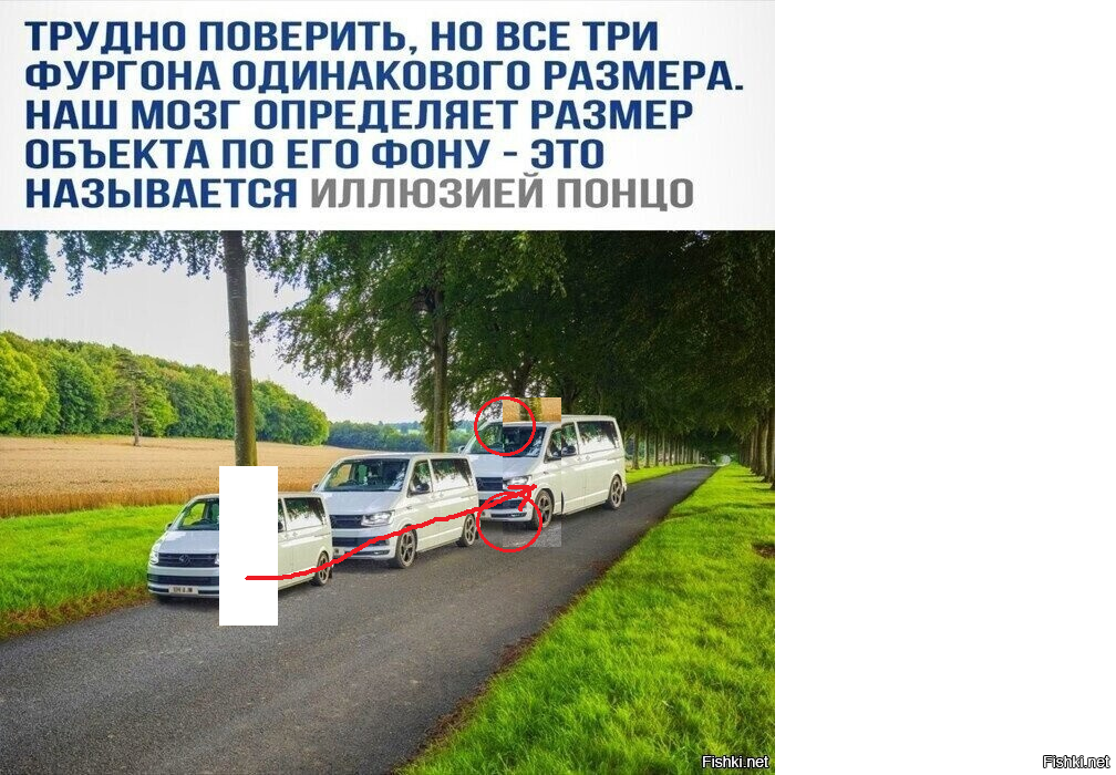 "Правду сказал. Только чуть-чуть сбрехнул"