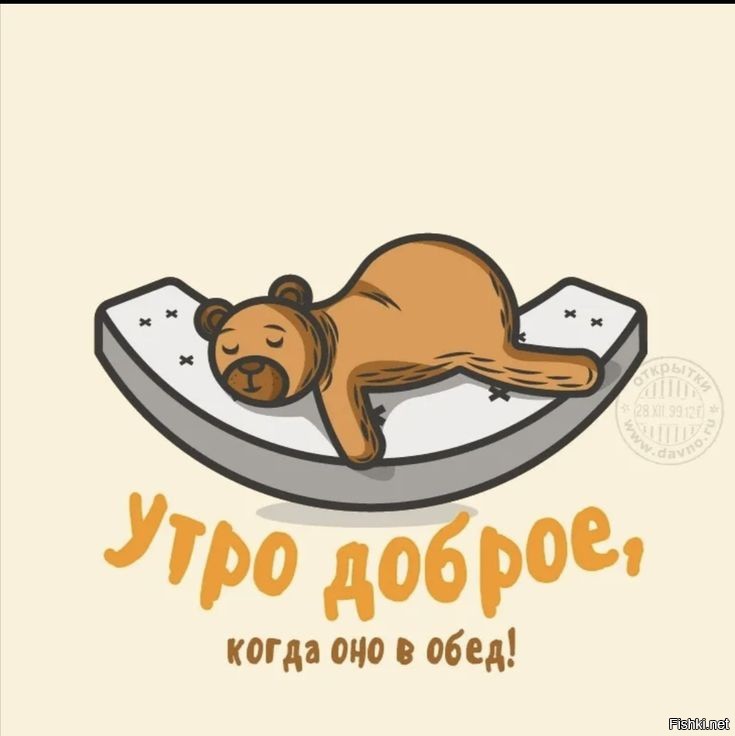 Солянка от 28.10.2025