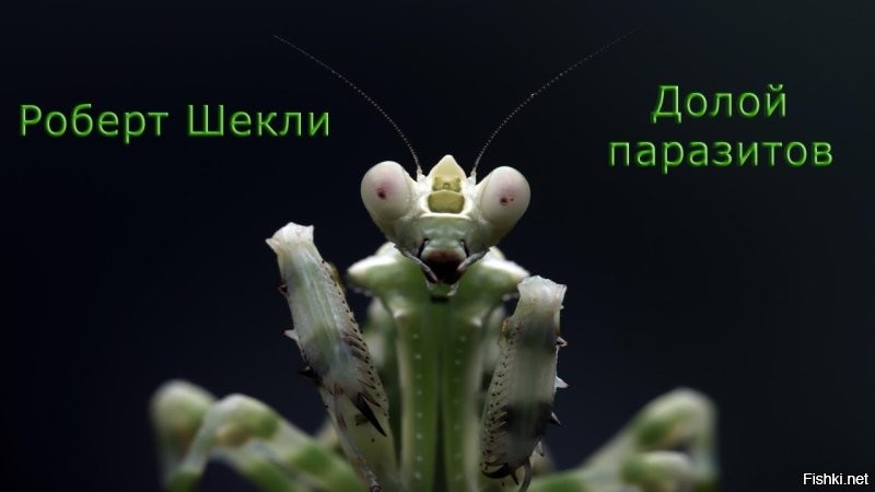 Лед тронулся