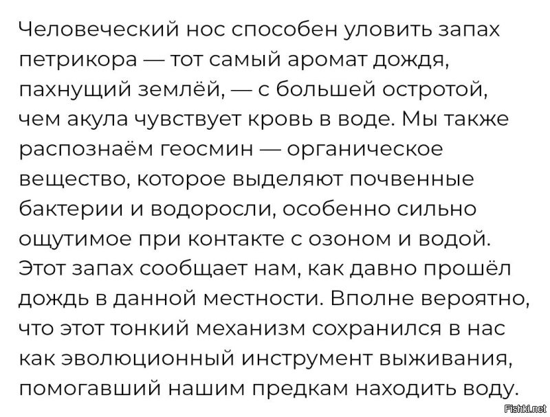 Ага. Человека прям телепортировали на новую местность, за до фига километров, и он может сказать, как давно там был дождь. 

Древний человек этот дождь видел и мок под ним. 
И уж точно, он знает, как давно дождь закончился.
