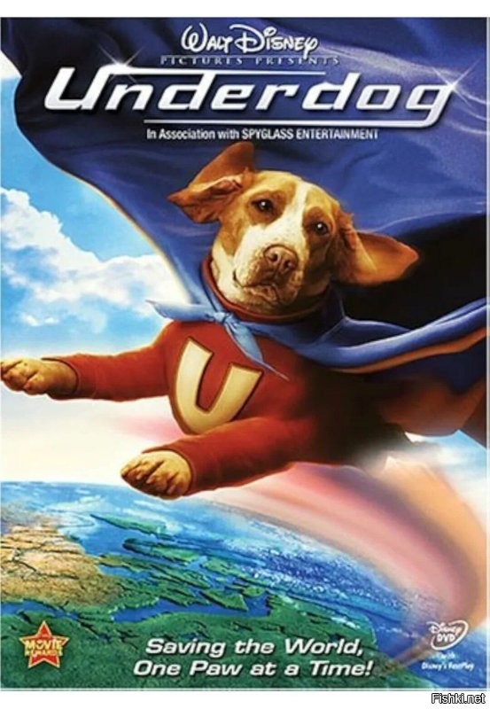 Собака сбила самокатчика