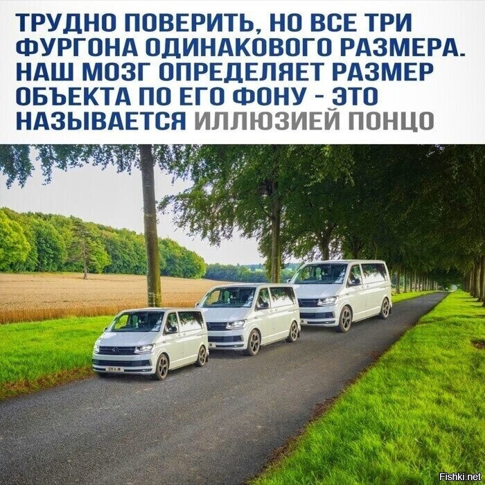 Солянка от 28.10.2025