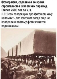 8 реальных фактов, которые похожи на выдумку