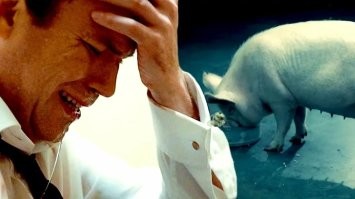 В Ленобласти очевидец шутил и снимал на видео девушку, у которой случился приступ на улице