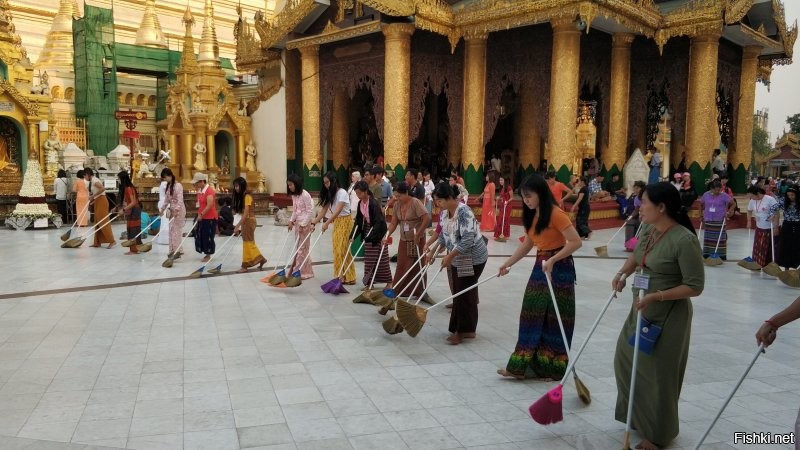 "Армия изъяла ... 30 спутников Starlink." Круто.

Шведагон.