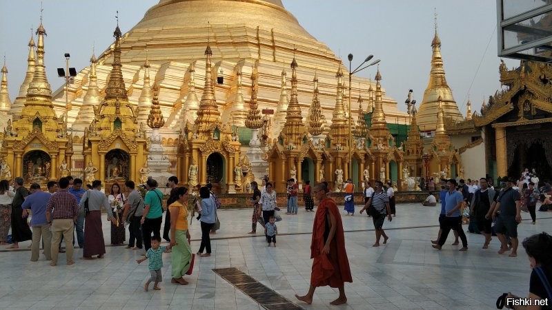 "Армия изъяла ... 30 спутников Starlink." Круто.

Шведагон.