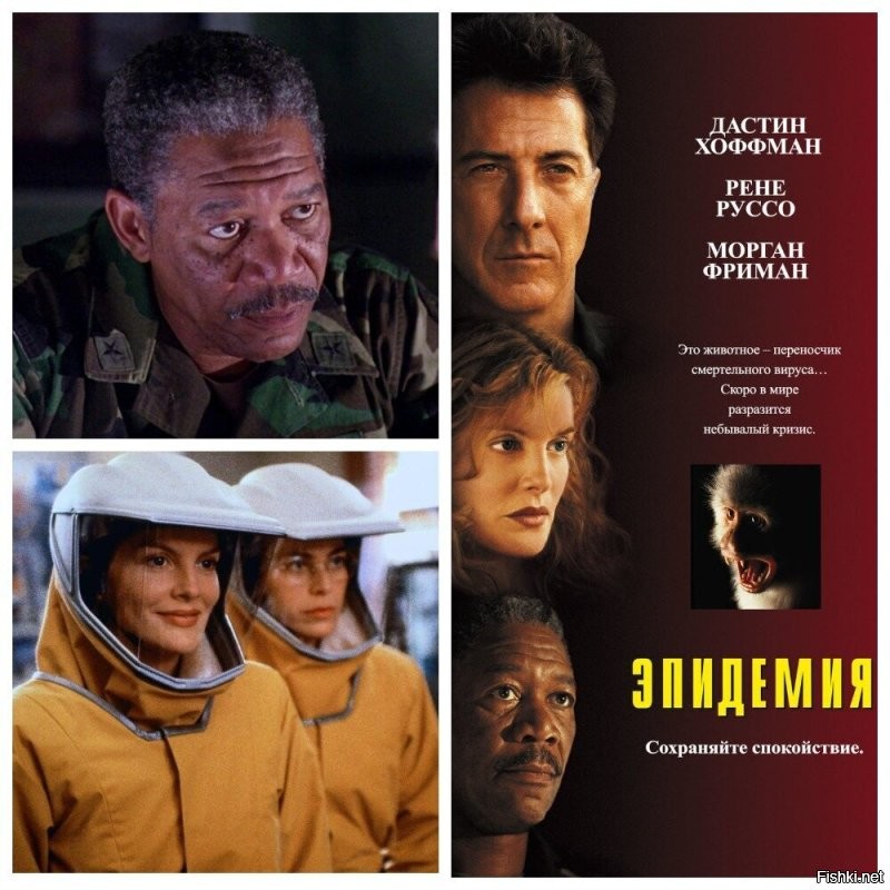 В США сбежали заражённые герпесом, гепатитом и коронавирусом обезьяны