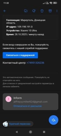 Мне вчера на почту пришла вот такая шляпа.