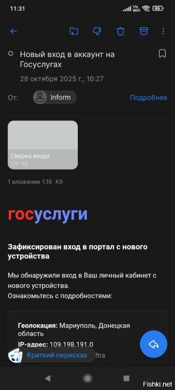 Мне вчера на почту пришла вот такая шляпа.