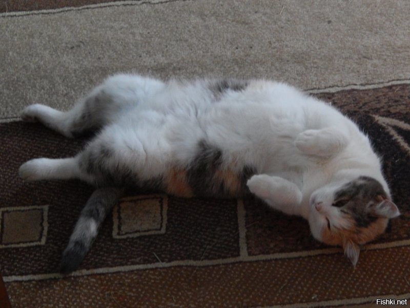 Вот какой Я 