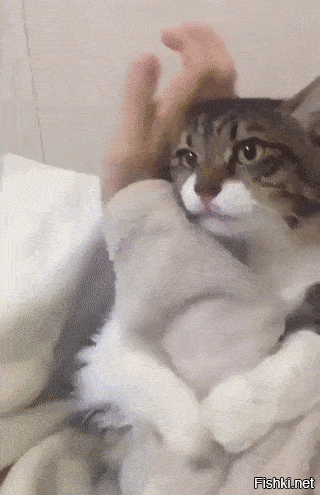 Просто гифки, всякие и разные