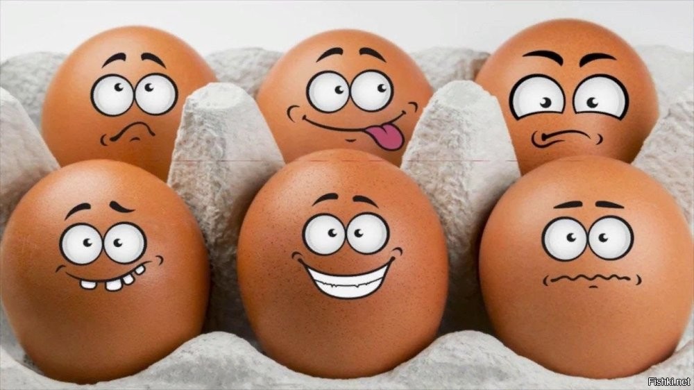 Солянка от 29.10.2025