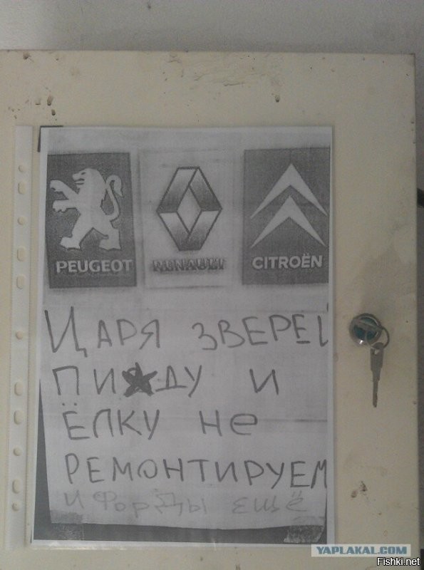 Солянка от 29.10.2025