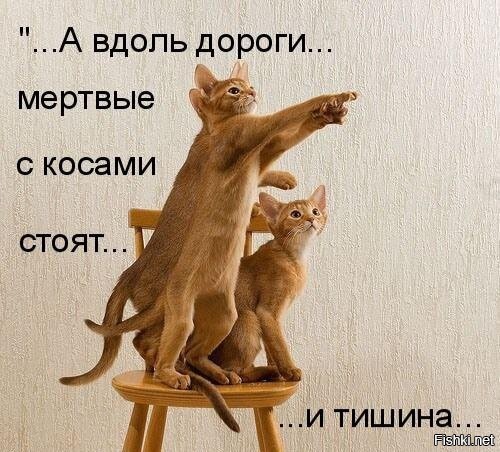 Солянка от 29.10.2025