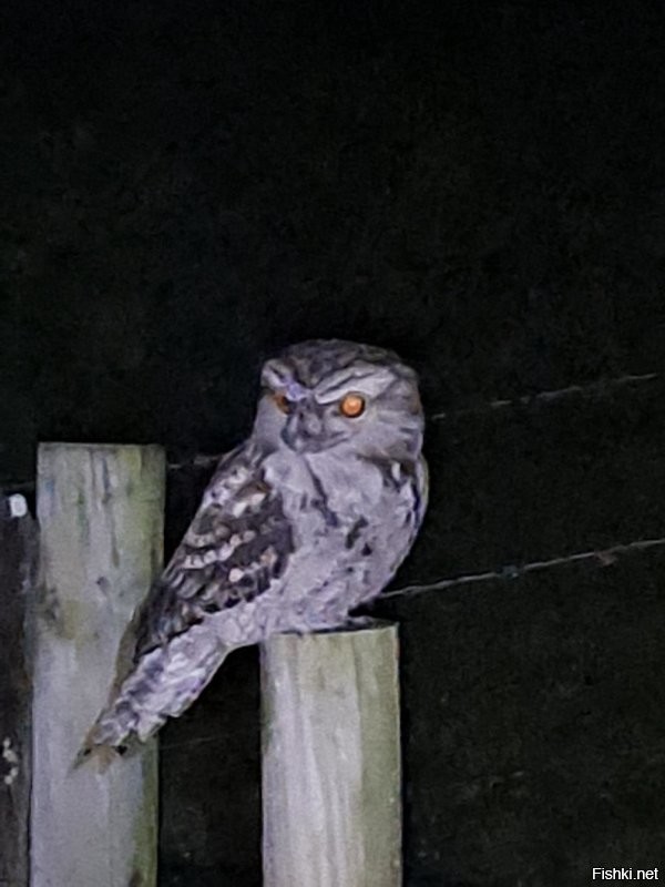 Вот такое сам фотал. Столб под ним где-то 150мм в диаметре