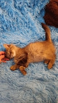 Ко мне тоже едет парочка братьев :) ожидаю на следующей неделе