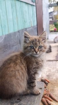 Ко мне тоже едет парочка братьев :) ожидаю на следующей неделе