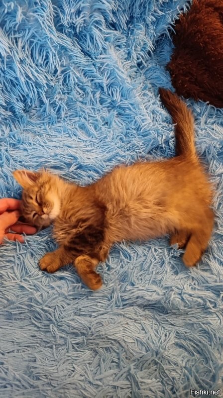 Ко мне тоже едет парочка братьев :) ожидаю на следующей неделе