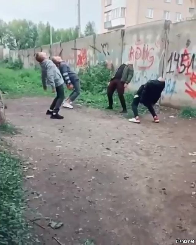 Орнитологи наблюдают за птицами.