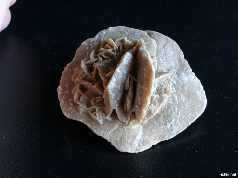 Солянка от 29.10.2025