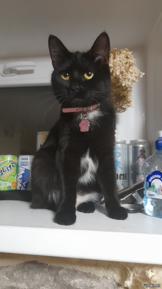 Доброе утро