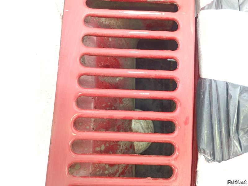 Эх... А у меня только осы пытались в машине поселиться...