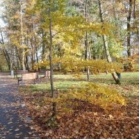 Чёт как то странно. Вроде заголовок, хоть и не явно, но про осень. Ну осень это красиво в основном. Открываю пост, а там...  кормушка... ладно бы нечто оригинальное, но действительно рукожопость. Два раза.. Белка, неплохое фото. Белка с пакетом. Два раза.  Потом действительно несколько фото осенней природы. Не самые прекрасные, но ладно. И что это всё вместе значит? Вечное или классическое? 
 Может вот фото с моей вчерашней прогулки в парк вам подскажут как примерно осень показывать. Хотя я конечно тоже не эталон.