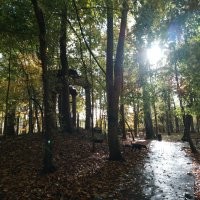 Чёт как то странно. Вроде заголовок, хоть и не явно, но про осень. Ну осень это красиво в основном. Открываю пост, а там...  кормушка... ладно бы нечто оригинальное, но действительно рукожопость. Два раза.. Белка, неплохое фото. Белка с пакетом. Два раза.  Потом действительно несколько фото осенней природы. Не самые прекрасные, но ладно. И что это всё вместе значит? Вечное или классическое? 
 Может вот фото с моей вчерашней прогулки в парк вам подскажут как примерно осень показывать. Хотя я конечно тоже не эталон.