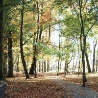 Чёт как то странно. Вроде заголовок, хоть и не явно, но про осень. Ну осень это красиво в основном. Открываю пост, а там...  кормушка... ладно бы нечто оригинальное, но действительно рукожопость. Два раза.. Белка, неплохое фото. Белка с пакетом. Два раза.  Потом действительно несколько фото осенней природы. Не самые прекрасные, но ладно. И что это всё вместе значит? Вечное или классическое? 
 Может вот фото с моей вчерашней прогулки в парк вам подскажут как примерно осень показывать. Хотя я конечно тоже не эталон.