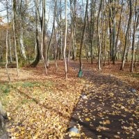 Чёт как то странно. Вроде заголовок, хоть и не явно, но про осень. Ну осень это красиво в основном. Открываю пост, а там...  кормушка... ладно бы нечто оригинальное, но действительно рукожопость. Два раза.. Белка, неплохое фото. Белка с пакетом. Два раза.  Потом действительно несколько фото осенней природы. Не самые прекрасные, но ладно. И что это всё вместе значит? Вечное или классическое? 
 Может вот фото с моей вчерашней прогулки в парк вам подскажут как примерно осень показывать. Хотя я конечно тоже не эталон.