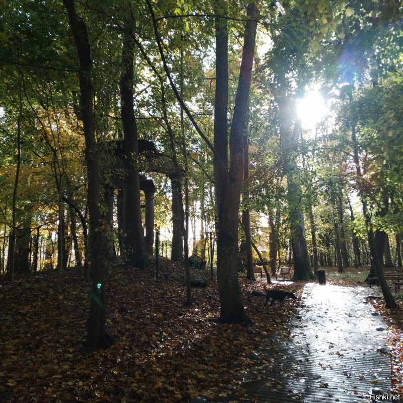 Чёт как то странно. Вроде заголовок, хоть и не явно, но про осень. Ну осень это красиво в основном. Открываю пост, а там...  кормушка... ладно бы нечто оригинальное, но действительно рукожопость. Два раза.. Белка, неплохое фото. Белка с пакетом. Два раза.  Потом действительно несколько фото осенней природы. Не самые прекрасные, но ладно. И что это всё вместе значит? Вечное или классическое? 
 Может вот фото с моей вчерашней прогулки в парк вам подскажут как примерно осень показывать. Хотя я конечно тоже не эталон.