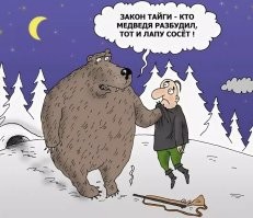 Безумие в прямом эфире: мужчина залез в берлогу спящей медведицы