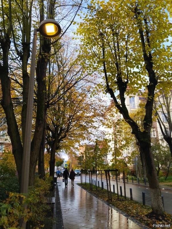 Вот почти такой же сюжет получила сегодня из Зеленоградска